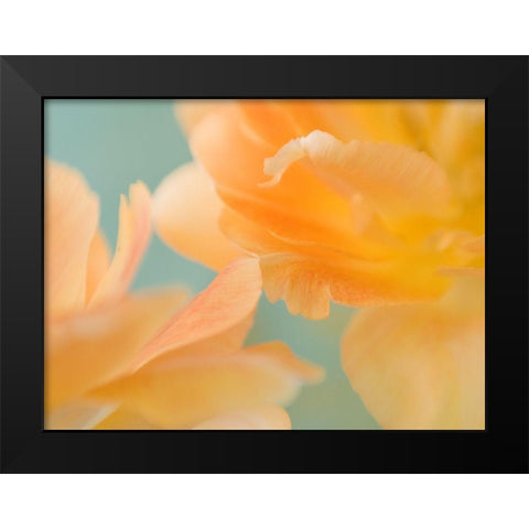 Double Vision II Black Modern Wood Framed Art Print by Stalus, Judy