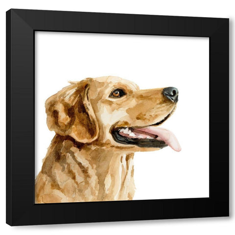 Pet Profile II Black Modern Wood Framed Art Print with Double Matting by Barnes, Victoria