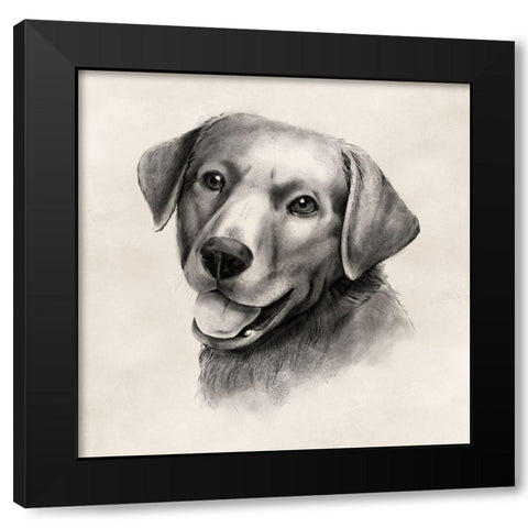Charcoal Labrador II Black Modern Wood Framed Art Print with Double Matting by Popp, Grace
