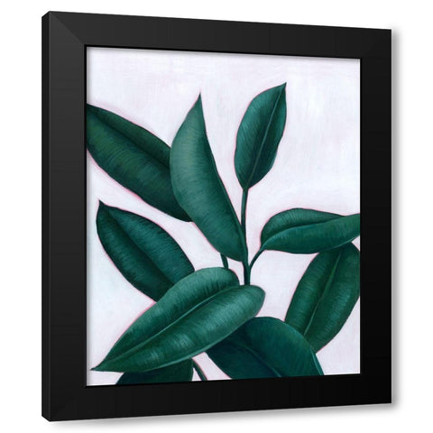 Verdant Ficus II Black Modern Wood Framed Art Print by Popp, Grace