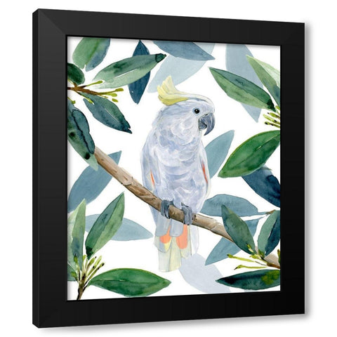 Cockatoo Perch I Black Modern Wood Framed Art Print with Double Matting by Warren, Annie