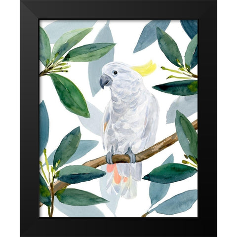 Cockatoo Perch II Black Modern Wood Framed Art Print by Warren, Annie