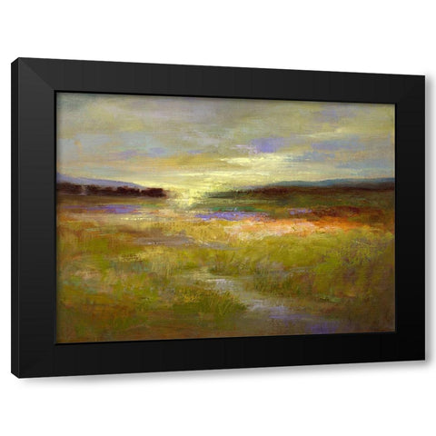 Light Across the Meadow II Black Modern Wood Framed Art Print with Double Matting by Finch, Sheila