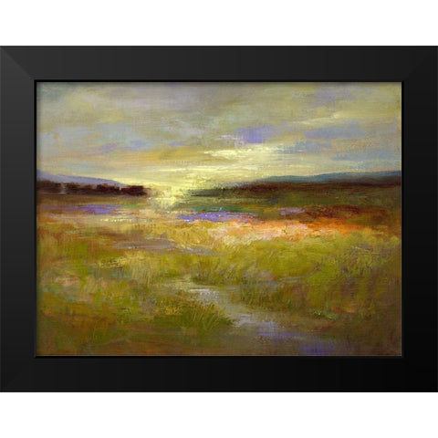 Light Across the Meadow II Black Modern Wood Framed Art Print by Finch, Sheila