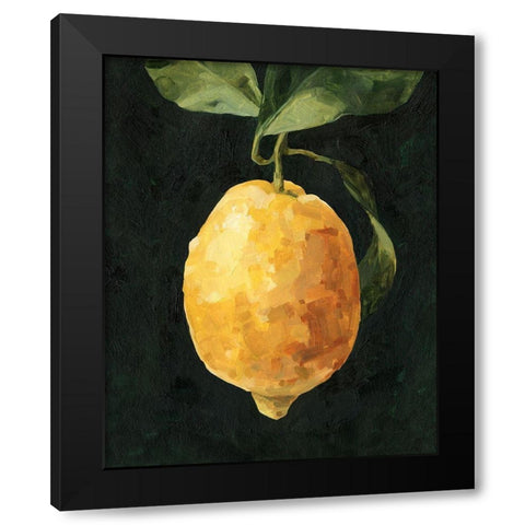 Dark Lemon I Black Modern Wood Framed Art Print with Double Matting by Caroline, Emma
