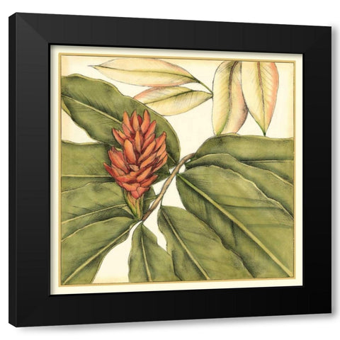 Tropical Blooms and Foliage II Black Modern Wood Framed Art Print by Goldberger, Jennifer