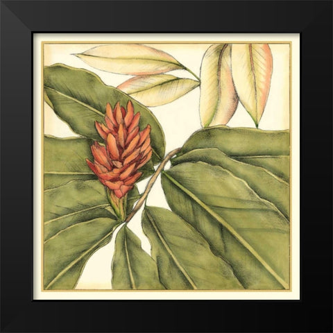 Tropical Blooms and Foliage II Black Modern Wood Framed Art Print by Goldberger, Jennifer