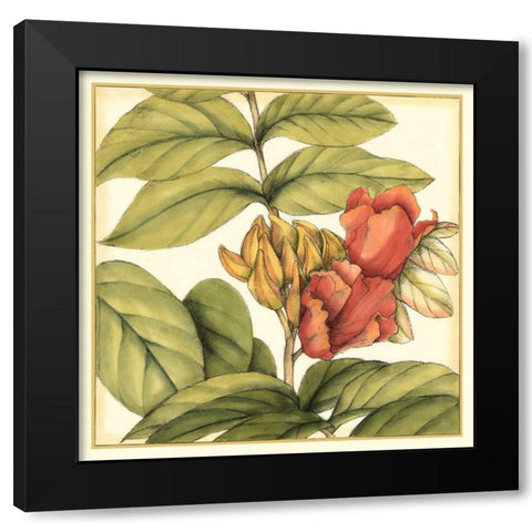 Tropical Blooms and Foliage III Black Modern Wood Framed Art Print by Goldberger, Jennifer