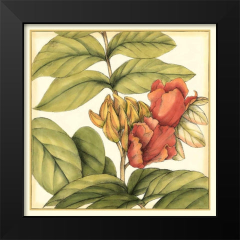 Tropical Blooms and Foliage III Black Modern Wood Framed Art Print by Goldberger, Jennifer