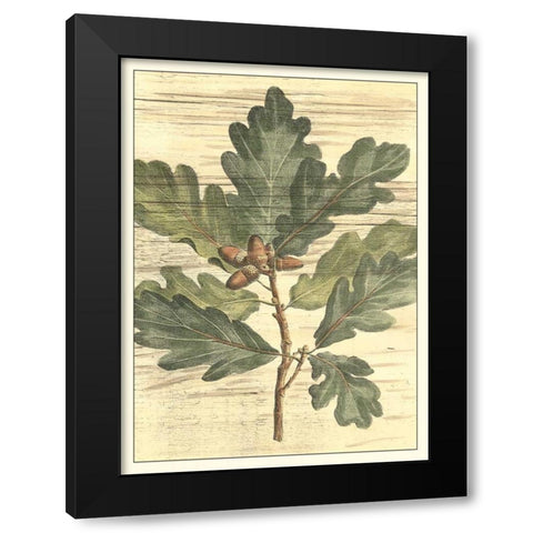 Weathered Oak Leaves I Black Modern Wood Framed Art Print by DeShayes, Gerard Paul