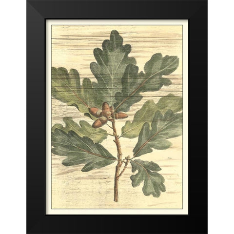 Weathered Oak Leaves I Black Modern Wood Framed Art Print by DeShayes, Gerard Paul
