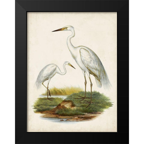 Antique Waterbirds V Black Modern Wood Framed Art Print by Unknown
