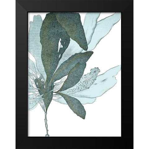 Seaside Seaweed I Black Modern Wood Framed Art Print by Vision Studio