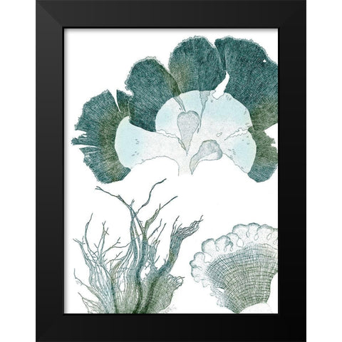 Seaside Seaweed II Black Modern Wood Framed Art Print by Vision Studio