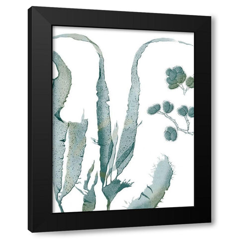 Seaside Seaweed III Black Modern Wood Framed Art Print with Double Matting by Vision Studio