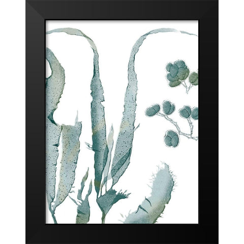 Seaside Seaweed III Black Modern Wood Framed Art Print by Vision Studio