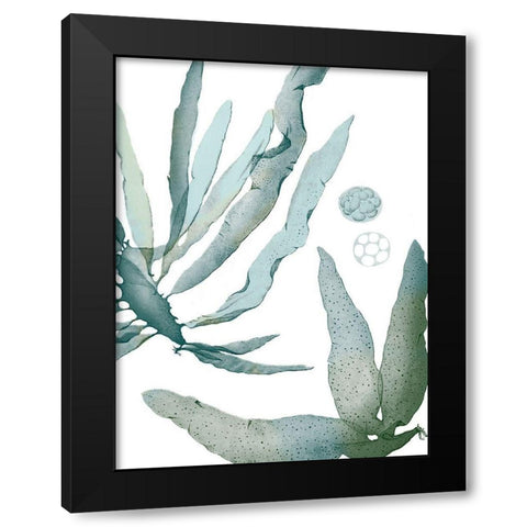 Seaside Seaweed IV Black Modern Wood Framed Art Print with Double Matting by Vision Studio