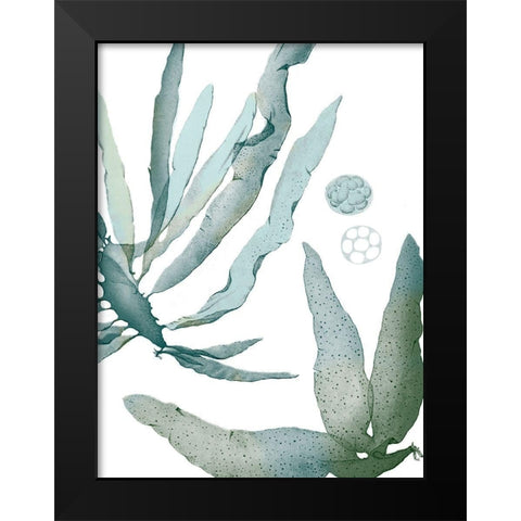 Seaside Seaweed IV Black Modern Wood Framed Art Print by Vision Studio