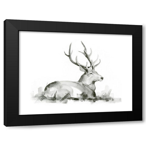 Recumbent Stag I Black Modern Wood Framed Art Print with Double Matting by Green, Jacob