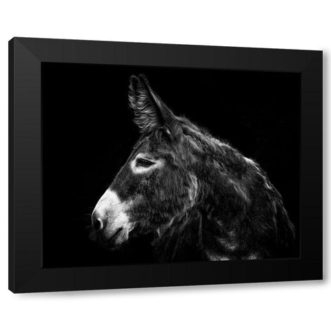 Donkey Portrait I Black Modern Wood Framed Art Print by PHBurchett