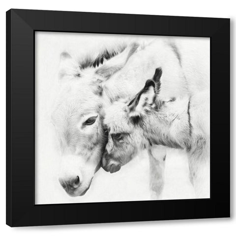 Donkey Portrait III Black Modern Wood Framed Art Print with Double Matting by PHBurchett