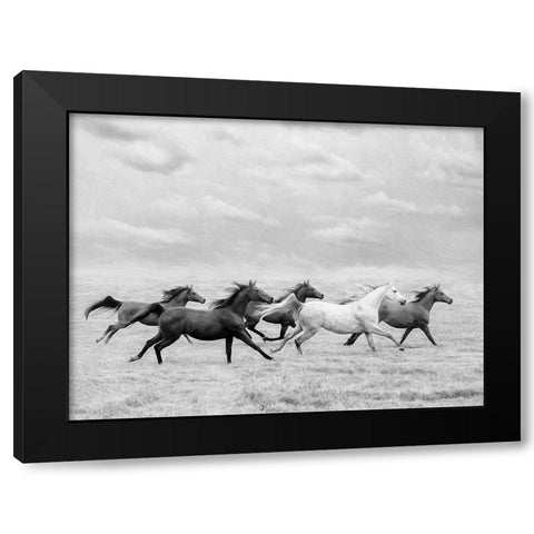 Horse Run I Black Modern Wood Framed Art Print with Double Matting by PHBurchett