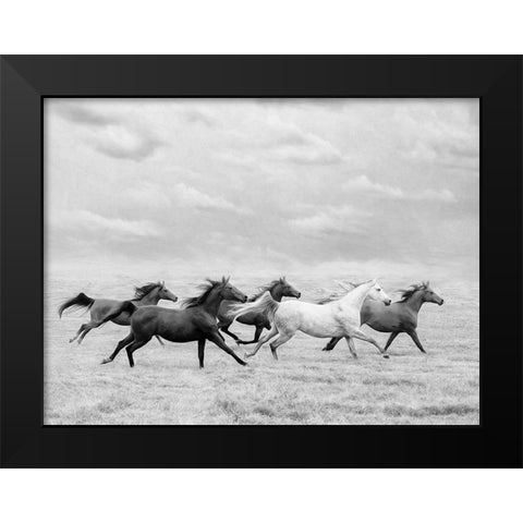 Horse Run I Black Modern Wood Framed Art Print by PHBurchett