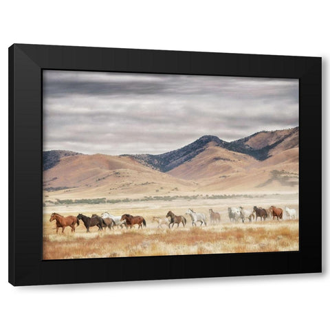 Horse Run II Black Modern Wood Framed Art Print with Double Matting by PHBurchett