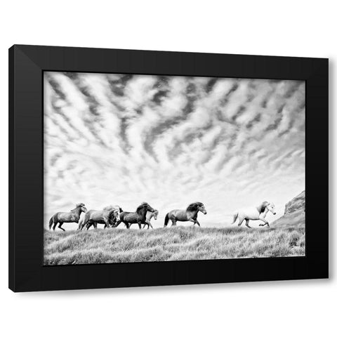 Horse Run III Black Modern Wood Framed Art Print by PHBurchett