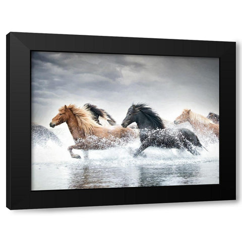 Horse Run V Black Modern Wood Framed Art Print by PHBurchett