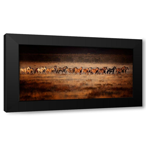 Horse Run VII Black Modern Wood Framed Art Print with Double Matting by PHBurchett