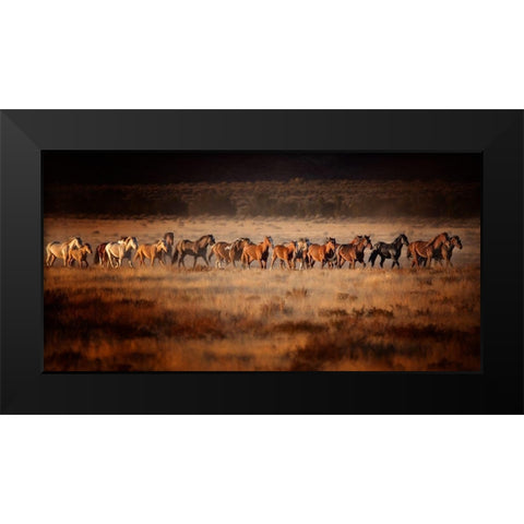 Horse Run VII Black Modern Wood Framed Art Print by PHBurchett