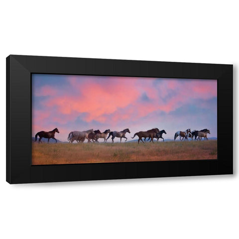 Horse Run VIII Black Modern Wood Framed Art Print by PHBurchett