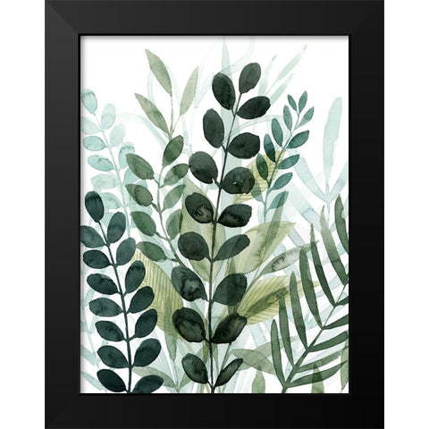 Forest Forage II Black Modern Wood Framed Art Print by Popp, Grace