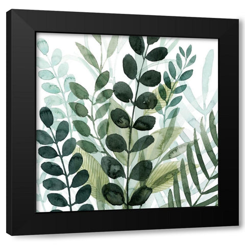 Forest Forage IV Black Modern Wood Framed Art Print with Double Matting by Popp, Grace