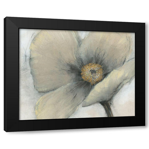 Single Cream Bloom I Black Modern Wood Framed Art Print with Double Matting by OToole, Tim