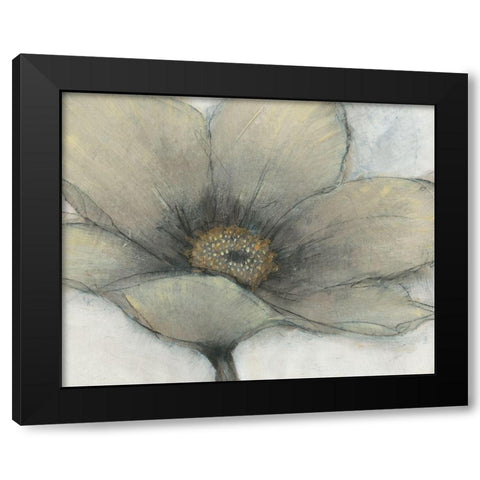 Single Cream Bloom II Black Modern Wood Framed Art Print with Double Matting by OToole, Tim