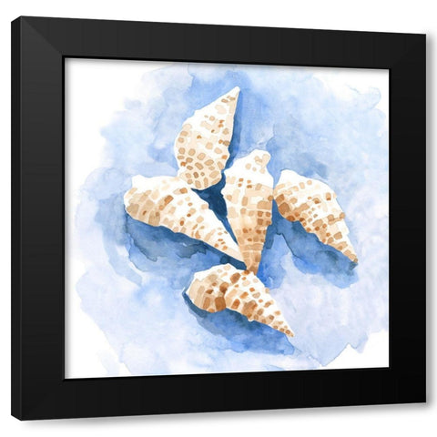 Shell Impressions I Black Modern Wood Framed Art Print with Double Matting by Caroline, Emma