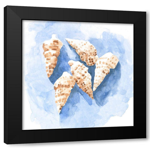 Shell Impressions II Black Modern Wood Framed Art Print with Double Matting by Caroline, Emma