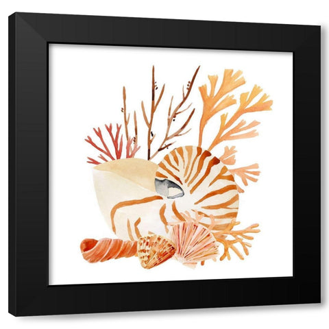 Nautilus Grouping I Black Modern Wood Framed Art Print with Double Matting by Warren, Annie