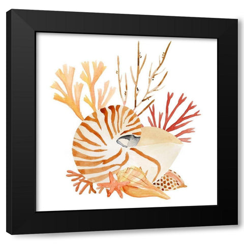 Nautilus Grouping II Black Modern Wood Framed Art Print by Warren, Annie