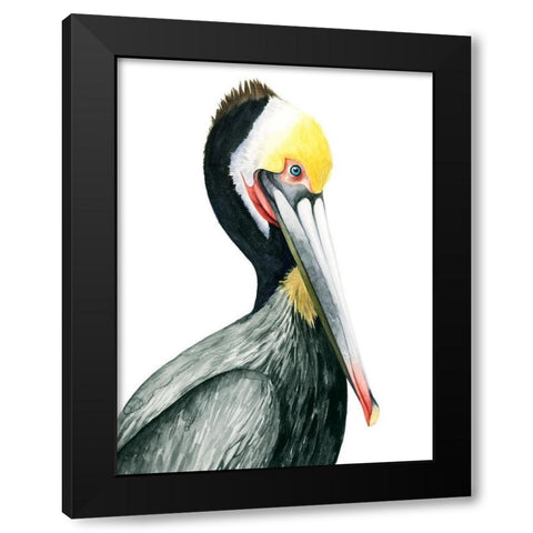 Watercolor Pelican I Black Modern Wood Framed Art Print with Double Matting by Popp, Grace