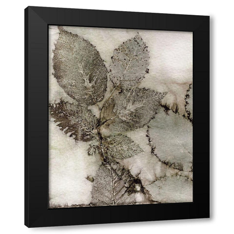 Birch Leaves II Black Modern Wood Framed Art Print with Double Matting by Phillips, Kathryn