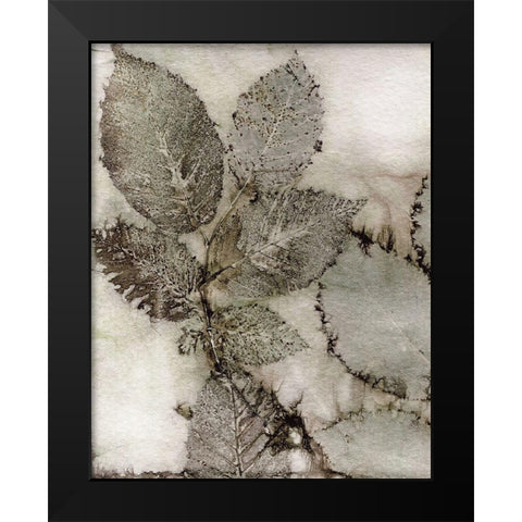 Birch Leaves II Black Modern Wood Framed Art Print by Phillips, Kathryn