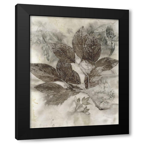 Dogwood Leaves II Black Modern Wood Framed Art Print with Double Matting by Phillips, Kathryn