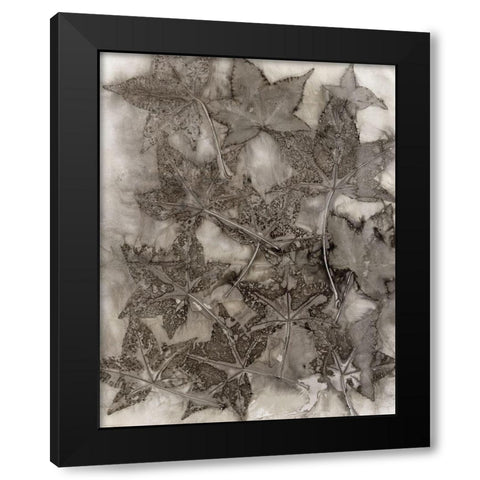 Sweet Gum Leaves Black Modern Wood Framed Art Print with Double Matting by Phillips, Kathryn