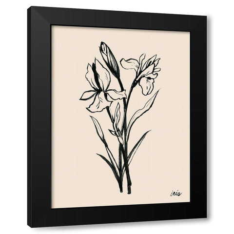 Iris Sketch I Black Modern Wood Framed Art Print with Double Matting by Popp, Grace