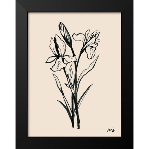 Iris Sketch I Black Modern Wood Framed Art Print by Popp, Grace