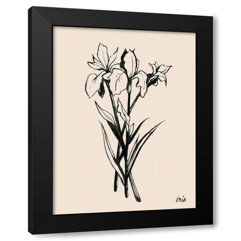Iris Sketch II Black Modern Wood Framed Art Print by Popp, Grace