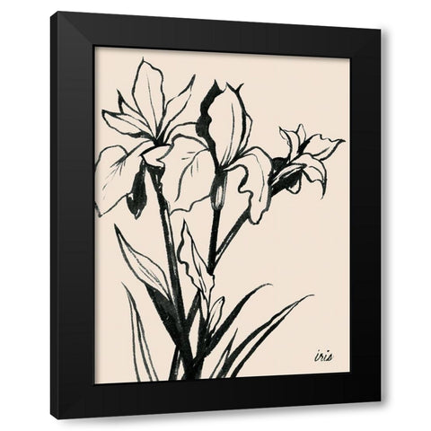 Iris Sketch III Black Modern Wood Framed Art Print with Double Matting by Popp, Grace